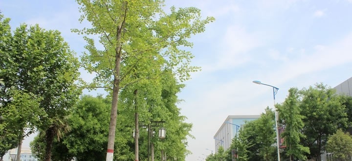 渭南西北新世纪职业中等专业学校