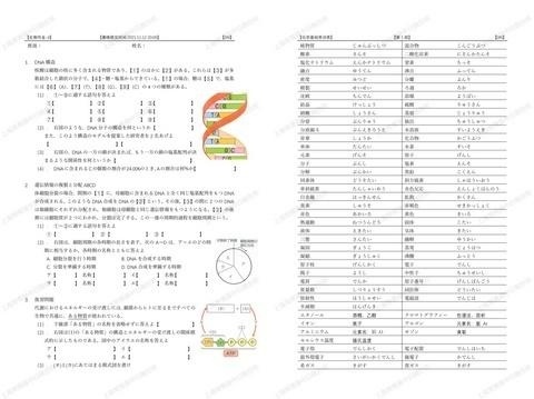 常青藤中日班教师团队自编讲义.jpg