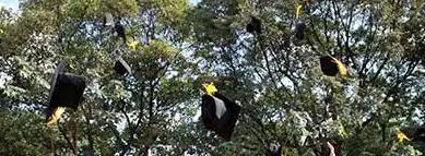 上海澳大利亚国际高中2022年学费标准