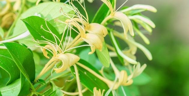 生命智慧