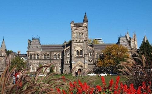 多伦多大学