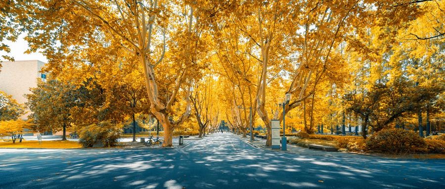 湖北工业大学继续教育学院开展了丰富的第二课堂活动！