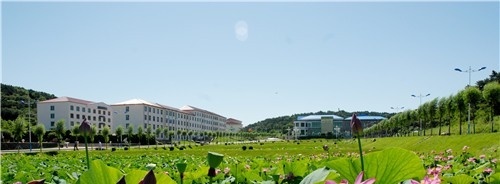 辽宁职业学院单招2019年有哪些专业