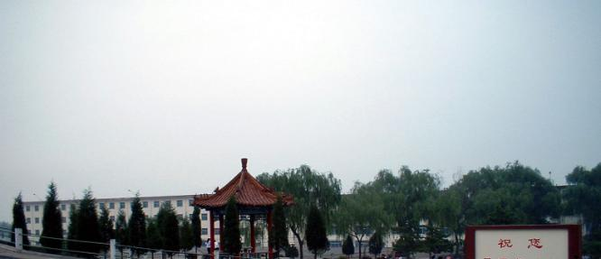 经济8