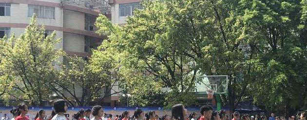华7
