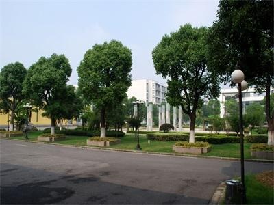 泰莱国际高中