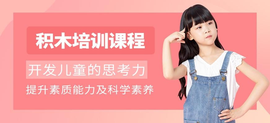 乐博乐博积木课程