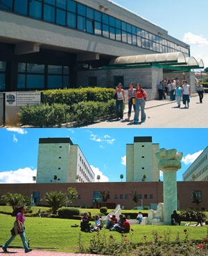 达芬奇网络大学