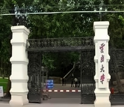 云大本部校门口