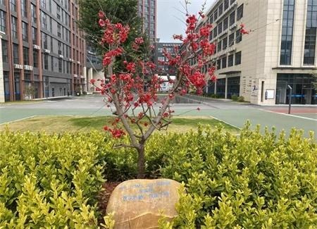 深圳汉开数理高中