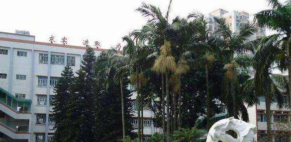 截图20200106094252