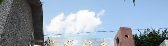 四川省仪陇县柳垭职业中学2018年报名条件、招生对象