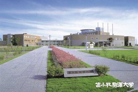 苫小牧驹泽大学.jpg
