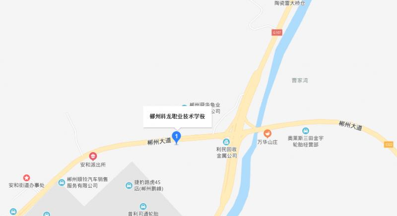 郴州科龙职业技术学校