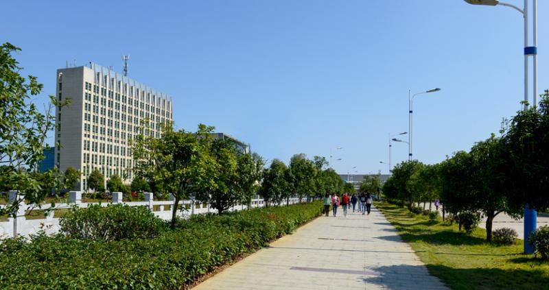 截图20200428142531