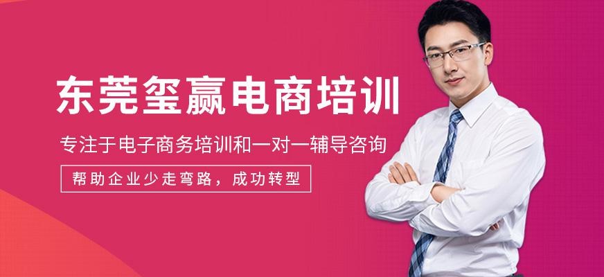 东莞玺赢电商机构