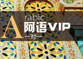 欧风阿语课程VIP