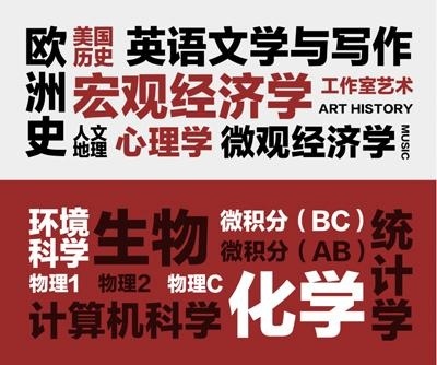闵行汇点开设的AP课程.jpg