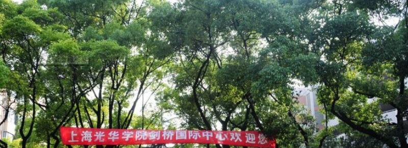 上海光华学院剑桥国际中心2020年招生简章