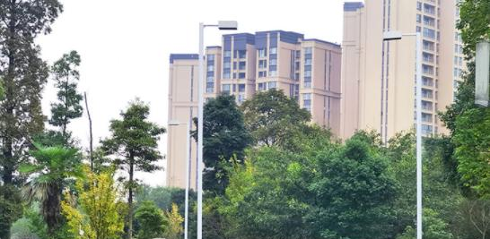 四川艺术职业学院单招