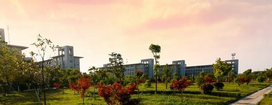 安徽电子信息职业技术学院