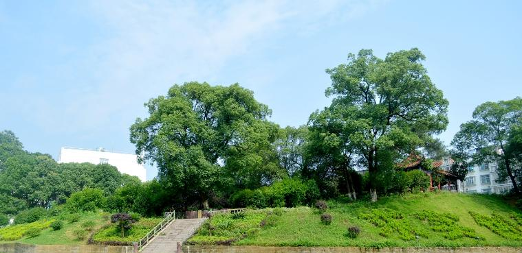 江西生物科技职业学院单招报名条件