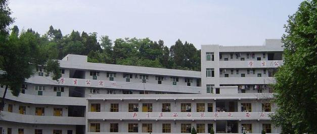 乐至县大佛中学