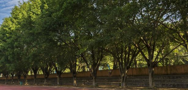 广州松田职业学院2020年学费、收费多少