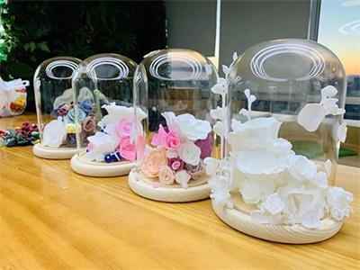ACG国际艺术教育（北京）