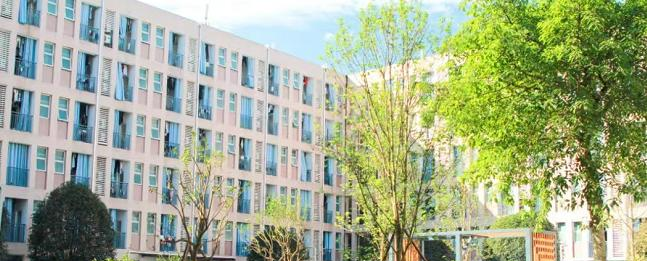 电子科技大学是211还是985(电子科技大学）