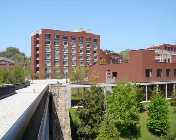 金泽大学