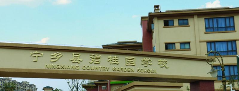 宁乡碧桂园学校2020年招生简章
