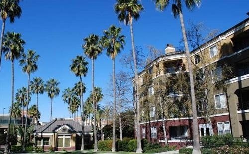 加州大学欧文分校