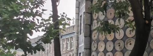 2023年无极野风美术职业中学有哪些专业