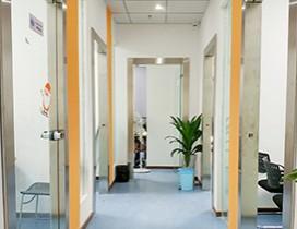 重庆卓思睿行教育