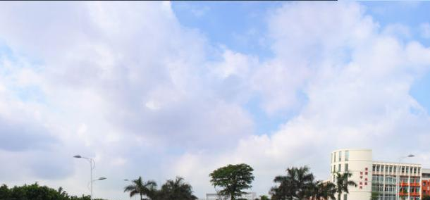 截图_20191031103406