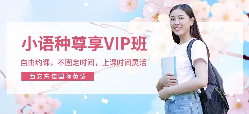 小语种尊享VIP班