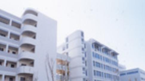 云南师范大学附属中学