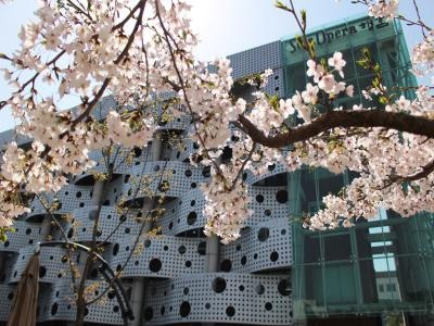 韩国信韩大学国际本科-深圳教学中心
