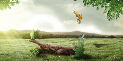 回归生命创造的智慧