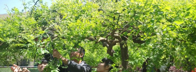 元氏县职业技术教育中心