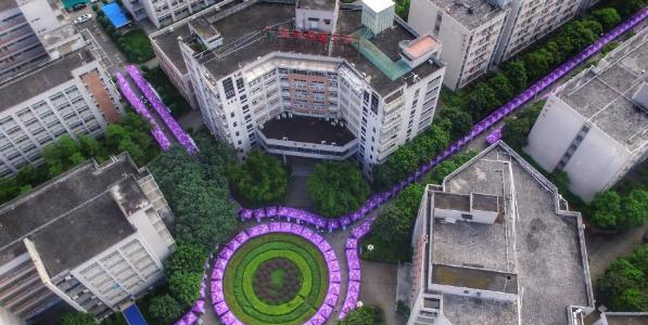 广州现代信息工程职业技术学院2020年招生办