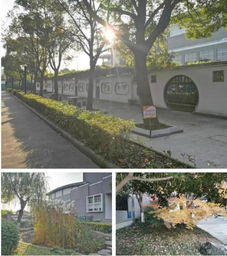 林荫小道.jpg