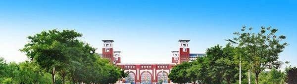 山东职业学院单招成绩查询时间