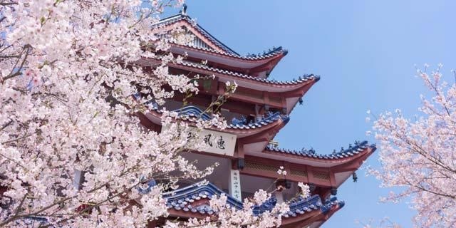 循序渐进的系统课程