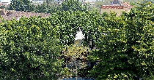 佛山市南海区卫生职业技术学校2020年招生录取分数线