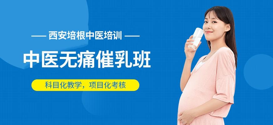 西安催奶师培训班