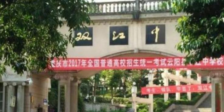 双6
