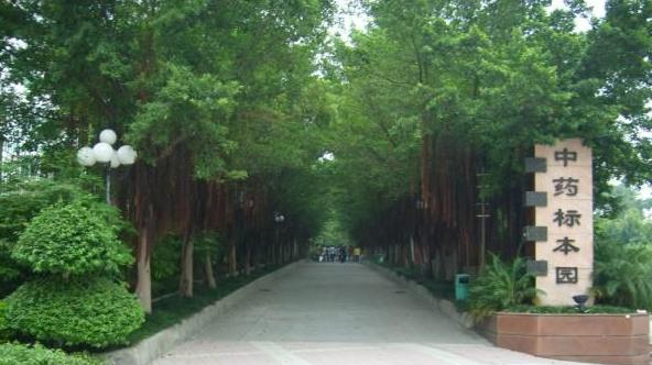 截图_20191028135813