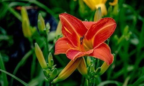 不要伤别人的自尊心